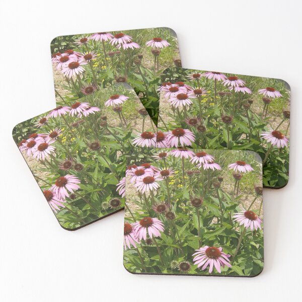 Item preview, Purple Cone flowers designed and sold by AlicesArtistry.