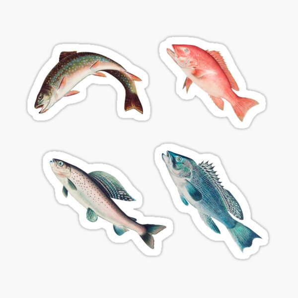 Born to Fish Forced to Work Antique Fish illustration Sticker