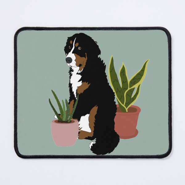 Item preview, Bernese Mountain Dog Houseplants designed and sold by KantstandyaC.