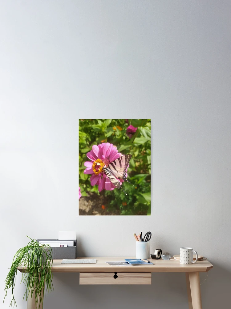 Thumbnail 2 of 3, Poster, Spring designed and sold by ruby-boby.