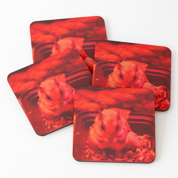 Item preview, Flying Squirrel eatting designed and sold by enchantedvibes.