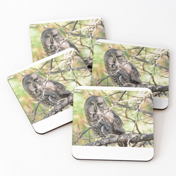 Item preview, Great Gray Owl designed and sold by RickClarkPhotos.