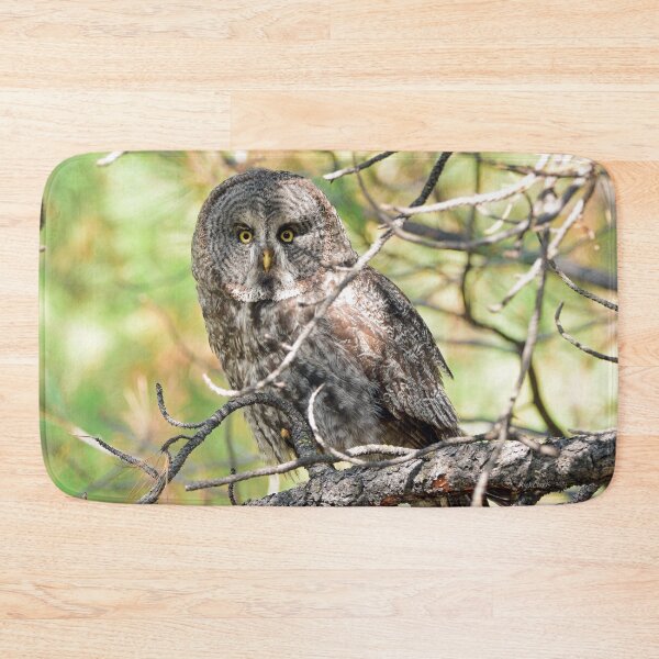Item preview, Great Gray Owl designed and sold by RickClarkPhotos.