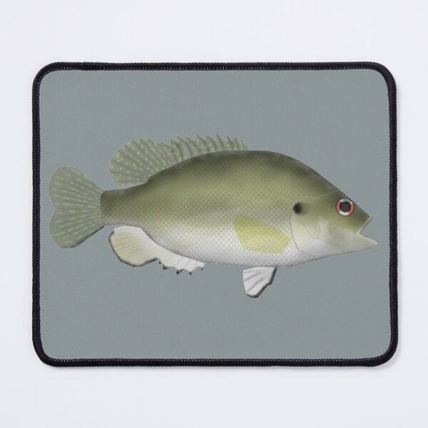 Item preview, Roanoke Bass designed and sold by fishfolkart.