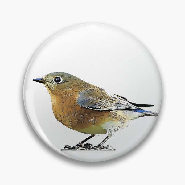 Item preview, Eastern Bluebird Female designed and sold by KxNation.