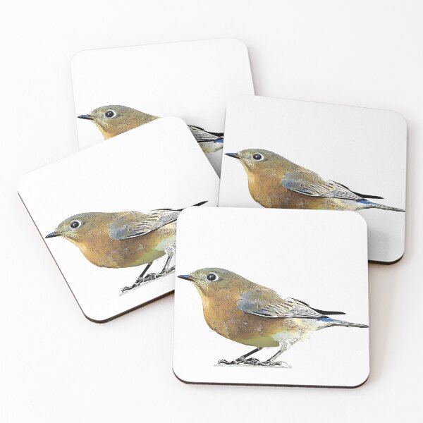 Item preview, Eastern Bluebird Female designed and sold by KxNation.