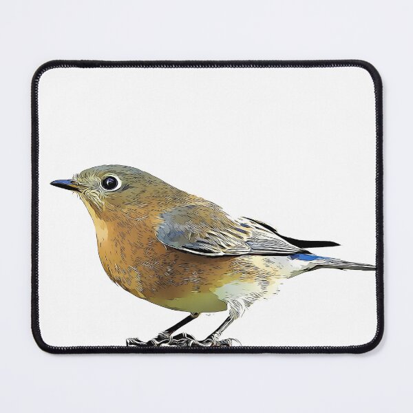 Item preview, Eastern Bluebird Female designed and sold by KxNation.