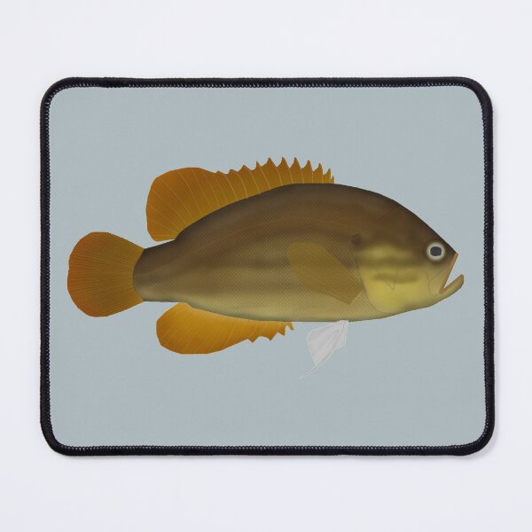 Item preview, Mud Sunfish designed and sold by fishfolkart.