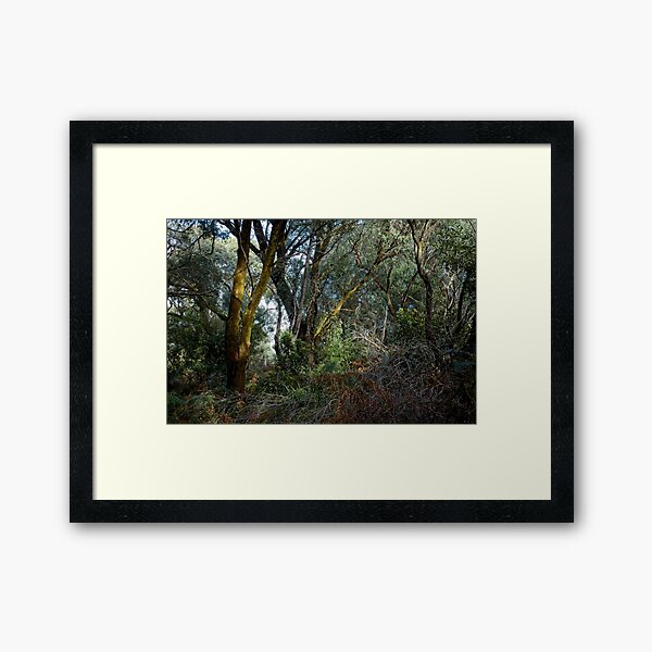 Item preview, Greens Bush #11 designed and sold by athexphoto.