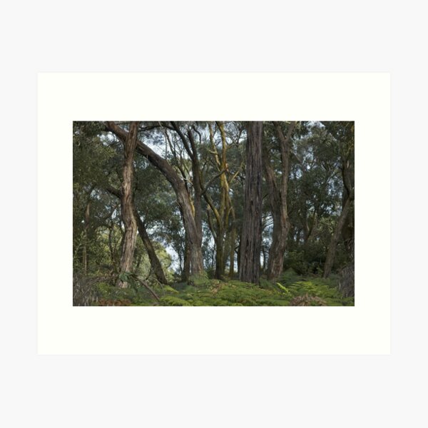 Item preview, Greens Bush #12 designed and sold by athexphoto.