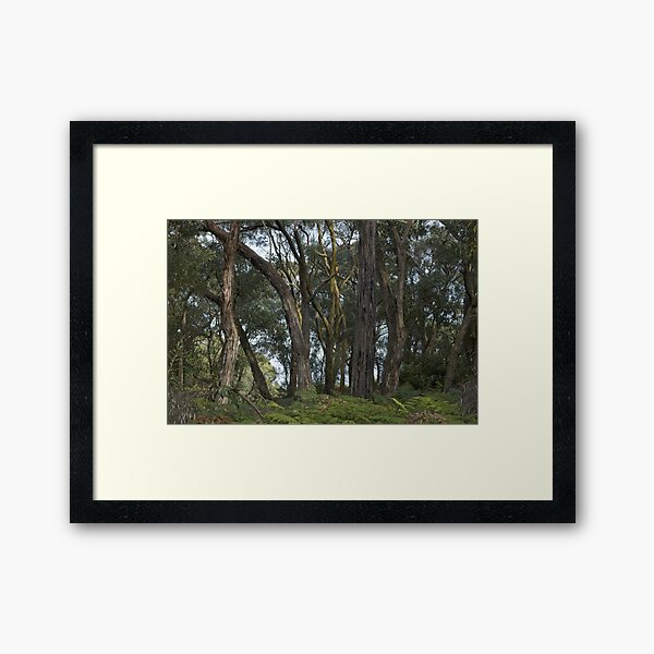 Item preview, Greens Bush #12 designed and sold by athexphoto.