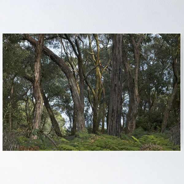 Item preview, Greens Bush #12 designed and sold by athexphoto.