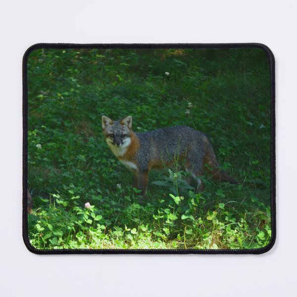 Item preview, Gray Fox designed and sold by enchantedvibes.