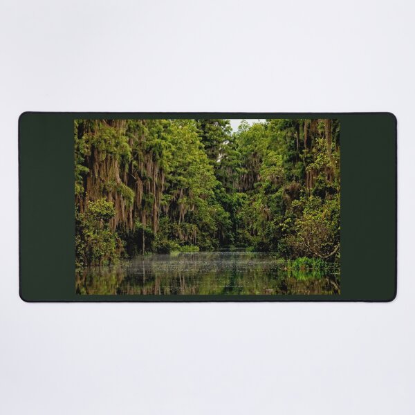 Item preview, Okefenokee Mossy Tree View designed and sold by KbytesOfJax Outdoor and Nature.