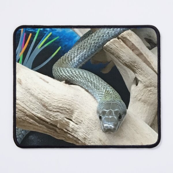 Item preview, Japanese Ratsnake designed and sold by bluegorgon.