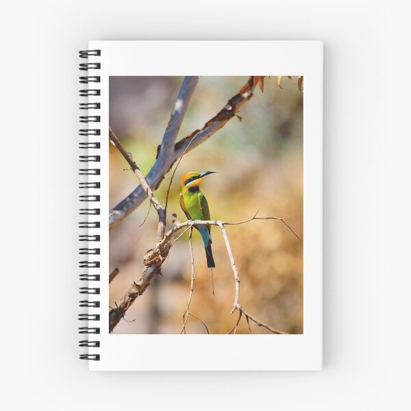 Item preview, Rainbow Bee-eater designed and sold by Dilshara Hill.