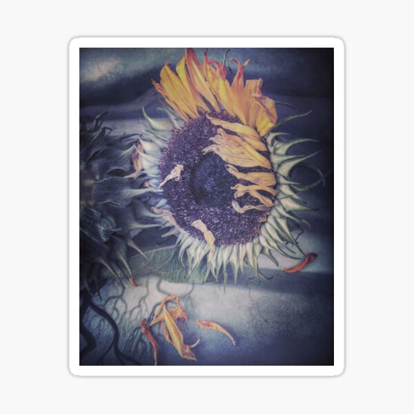 Aperçu de l'œuvre Tournesols fanés créée et vendue par jbjobby.