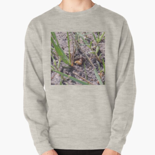 Little Crab Says Hello Pullover Sweatshirt