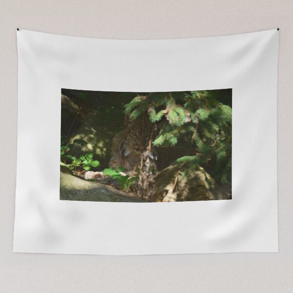 Item preview, shading lynx designed and sold by enchantedvibes.