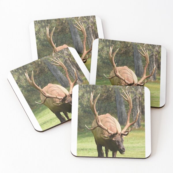 Item preview, Bull Elk 8x7 designed and sold by RickClarkPhotos.
