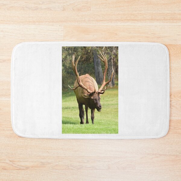 Item preview, Bull Elk 8x7 designed and sold by RickClarkPhotos.
