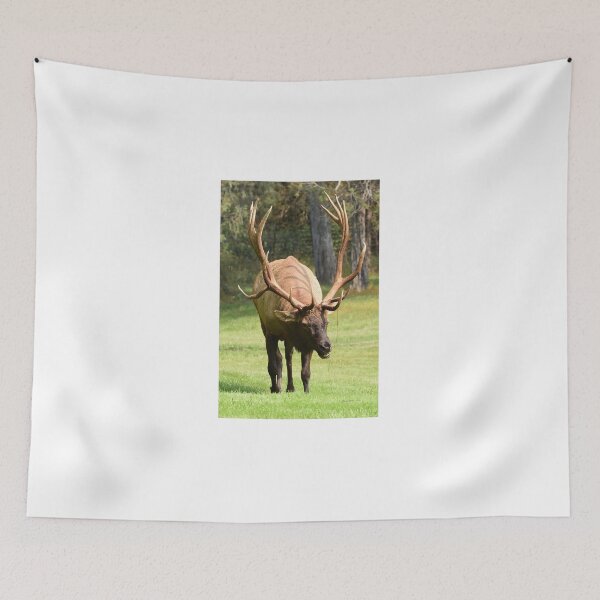 Item preview, Bull Elk 8x7 designed and sold by RickClarkPhotos.