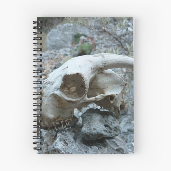 Item preview, SkullXI designed and sold by SusanneE.