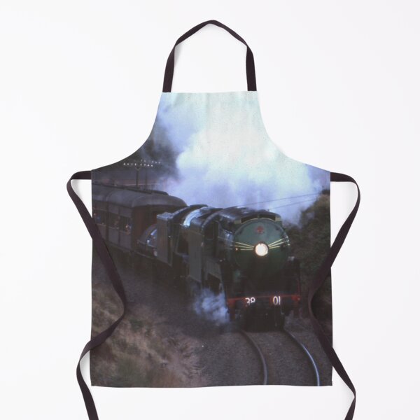 Item preview, 3801 & Flying Scotsman Robertson,NSW,Australia 1989 designed and sold by muz2142.
