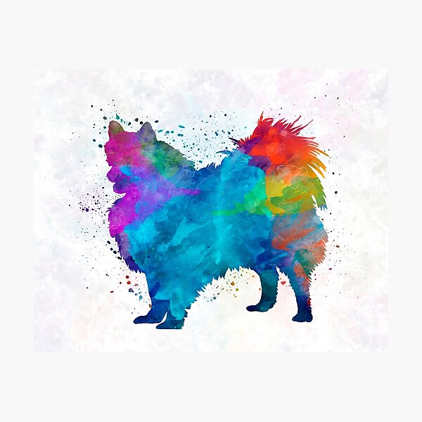 Pomeranian in watercolor Photographic Print