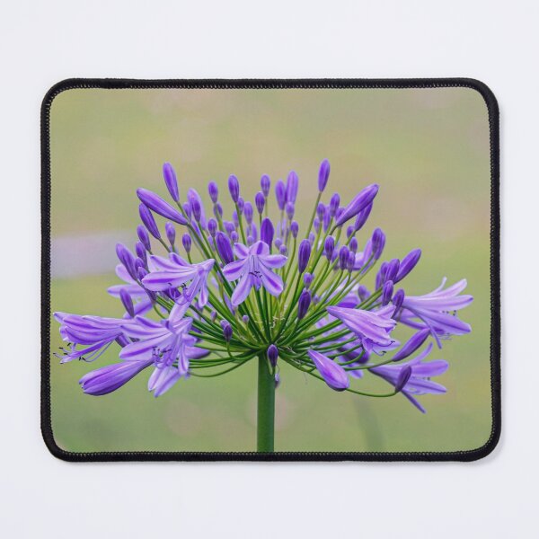 Item preview, Purple Blossom designed and sold by Catherine Reading.