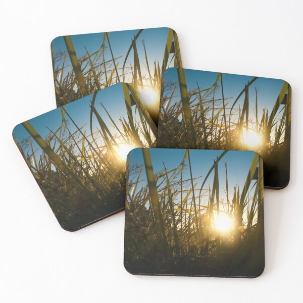 Item preview, Abstract reeds designed and sold by GregThompson.