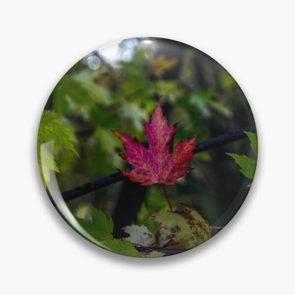 Artikelvorschau, H0078 Rotes Blatt entworfen und verkauft von photographyemd.