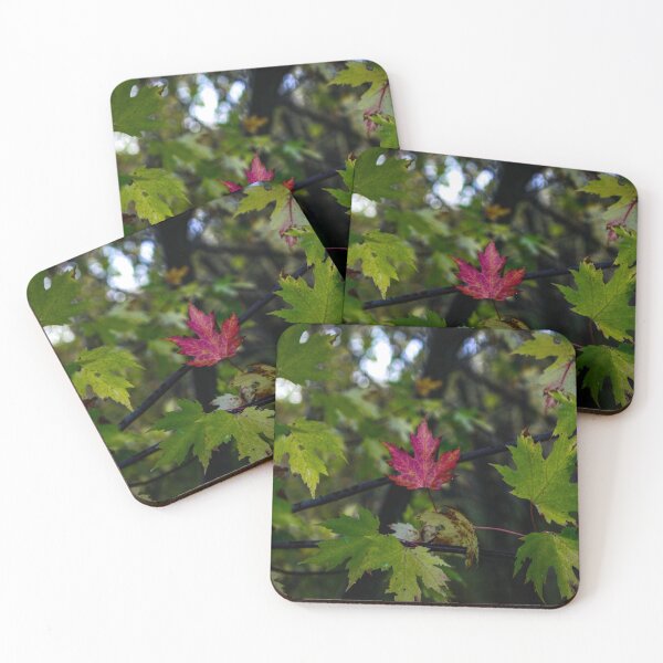 Item preview, H0078 Red Leaf designed and sold by photographyemd.