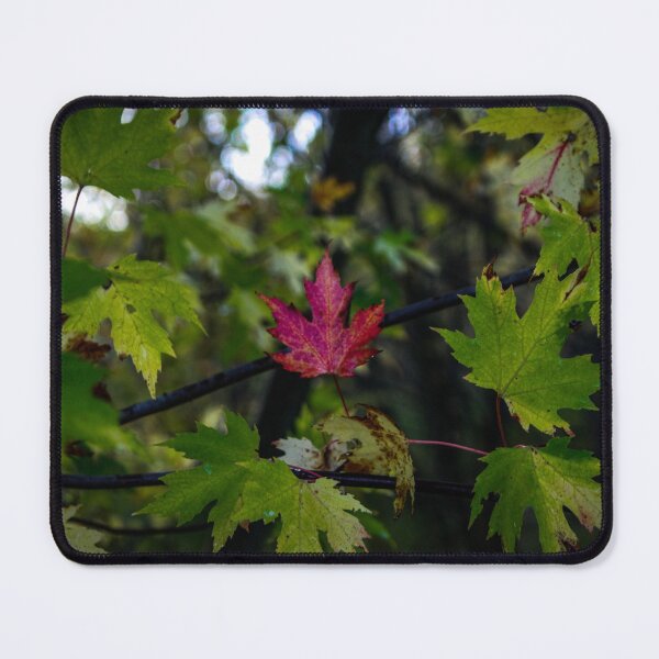Item preview, H0078 Red Leaf designed and sold by photographyemd.