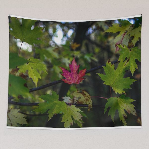 Item preview, H0078 Red Leaf designed and sold by photographyemd.