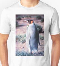King Penguin on Heard Island Unisex T-Shirt