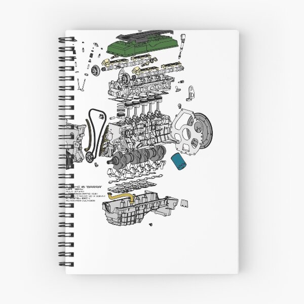 Item preview, Greentop Barra Infographic designed and sold by STunerDesigns.