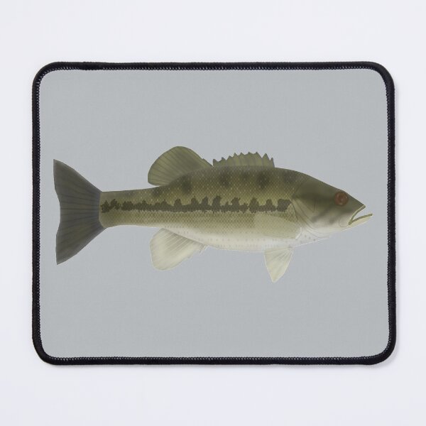Item preview, Spotted Bass designed and sold by fishfolkart.