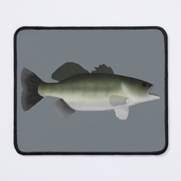 Item preview, Florida Largemouth Bass designed and sold by fishfolkart.
