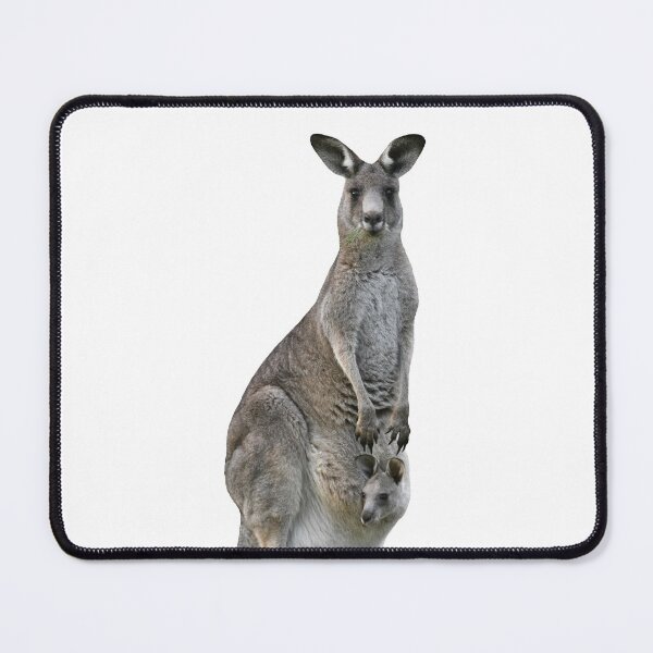 Kangaroo with joey looking out of pouch 3 Mouse Pad