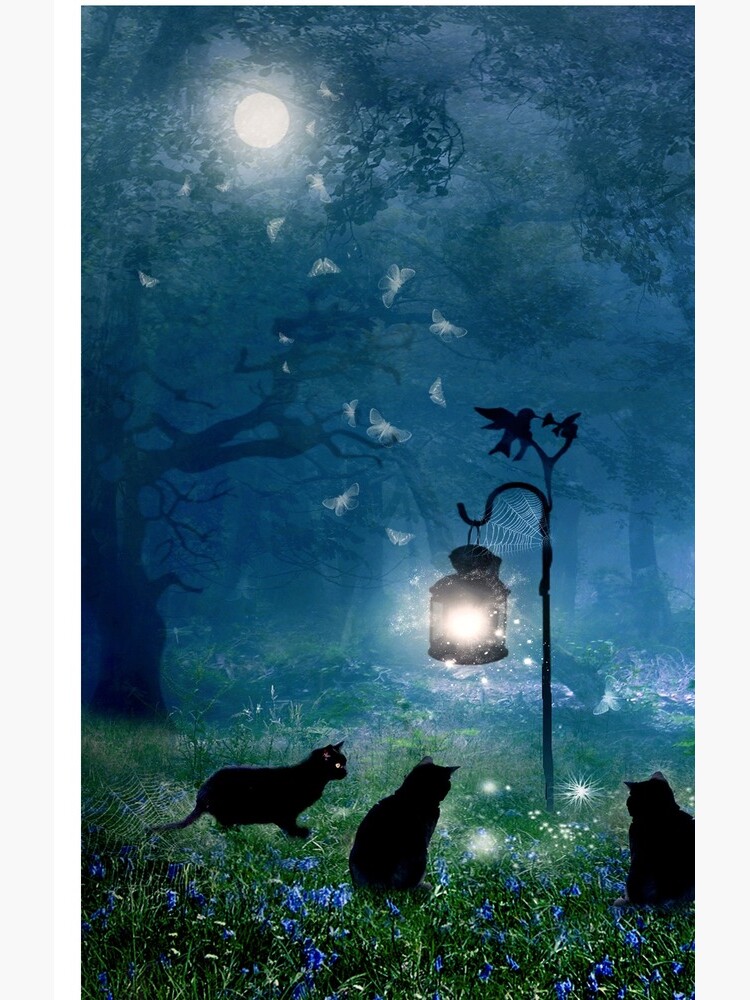 The Witches Cats (square) by AngelaBarnett
