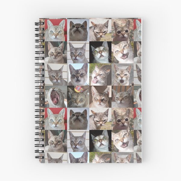 Item preview, Faces of Speedball  designed and sold by Cat-yawns.