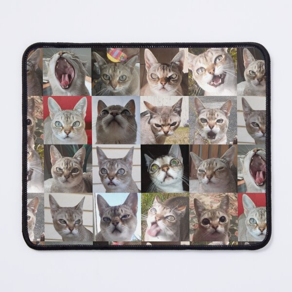 Item preview, Faces of Speedball  designed and sold by Cat-yawns.