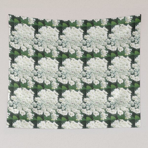 Item preview, Queen Anne's Lace 1 designed and sold by KimSyOk.