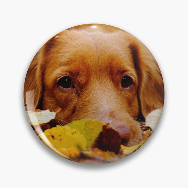 Item preview, Perro de otoño designed and sold by DesignsAndStuff.