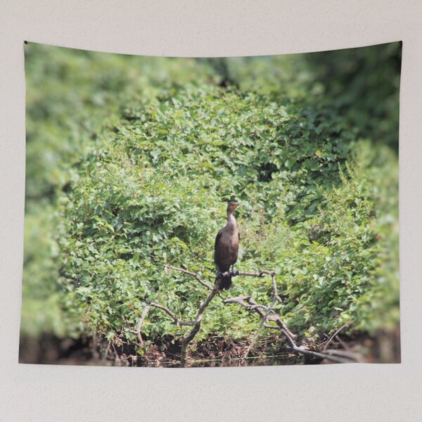 Item preview, PERCHED CORMORANT designed and sold by BOLLA67.