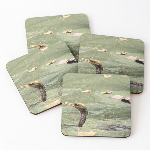 Item preview, ALGAE COVERED CORMORANT designed and sold by BOLLA67.