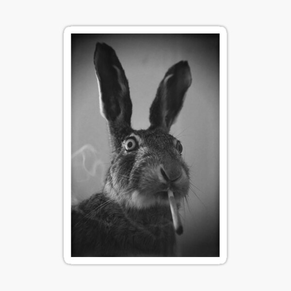 Item preview, Bunny Smokes Classic T-Shirt designed and sold by Thorndike19.