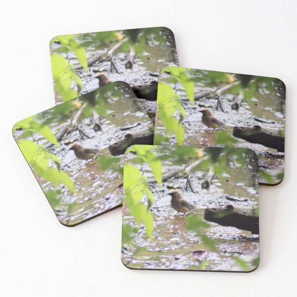 Item preview, CEDAR WAXWING designed and sold by BOLLA67.