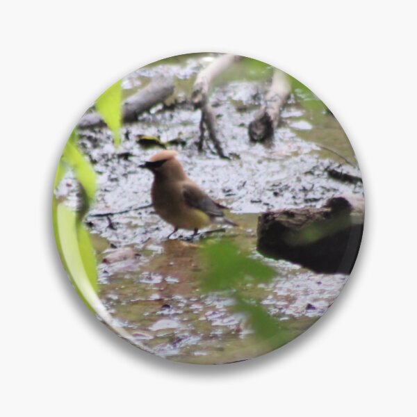 Item preview, CEDAR WAXWING designed and sold by BOLLA67.